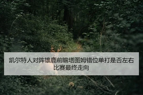 kai-er-te-ren-dui-zhen-xiong-lu-qian-zhan-ta-tu-mu-cuo-wei-dan-da-shi-fou-zuo-you-bi-sai-zui-zhong-zou-xiang-2-904.jpg